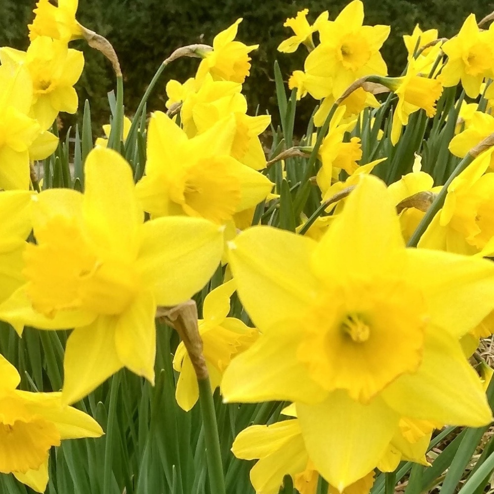 Meet your Posher, Monica